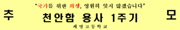 천안함 용사 1주기 추모 현수막.jpg