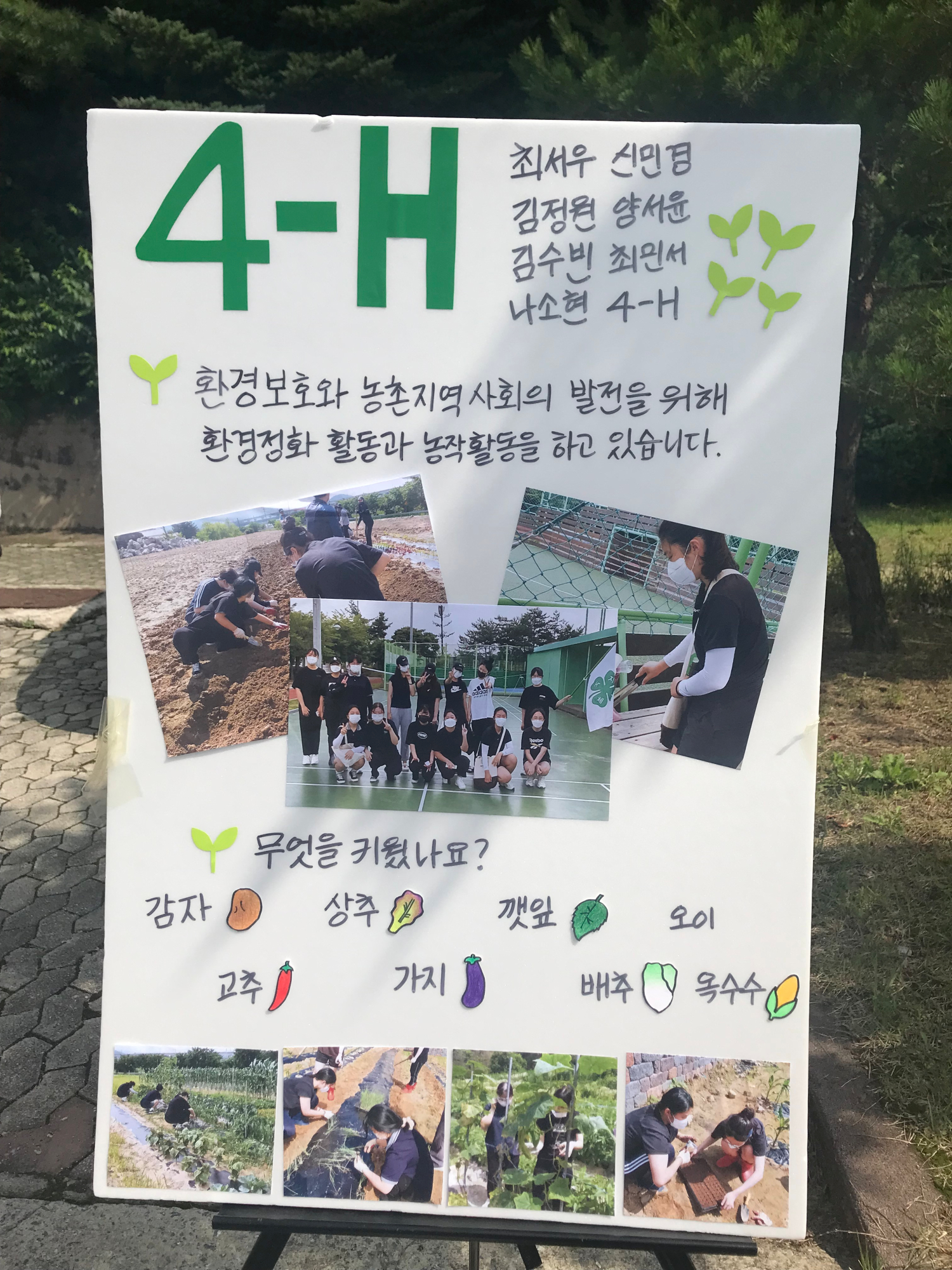 4-H