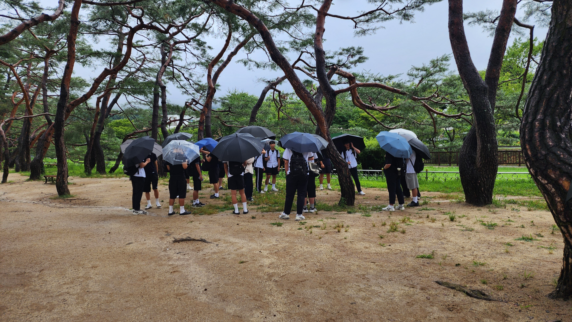 KakaoTalk_20250715_122609128_07